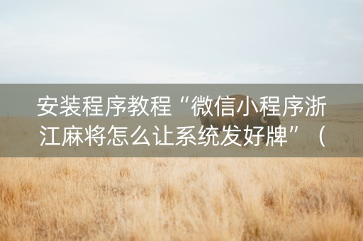 安装程序教程“微信小程序浙江麻将怎么让系统发好牌”（辅助器插件)