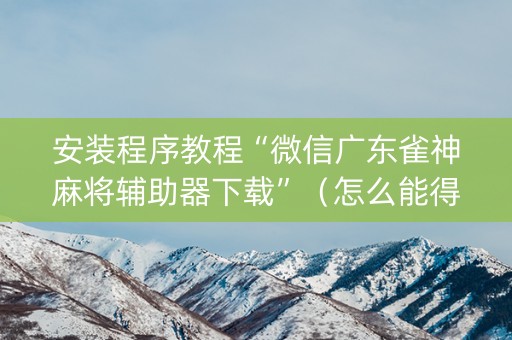 安装程序教程“微信广东雀神麻将辅助器下载”（怎么能得到好牌)