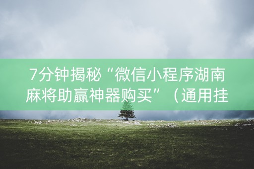 7分钟揭秘“微信小程序湖南麻将助赢神器购买”（通用挂软件多少钱)