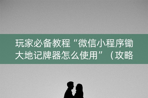 玩家必备教程“微信小程序锄大地记牌器怎么使用”（攻略插件)