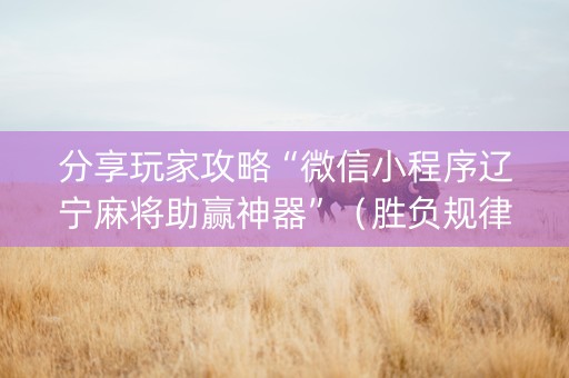 分享玩家攻略“微信小程序辽宁麻将助赢神器”（胜负规律拿好牌)
