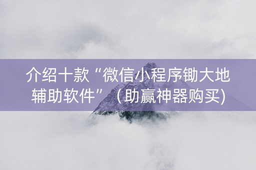 介绍十款“微信小程序锄大地辅助软件”（助赢神器购买)