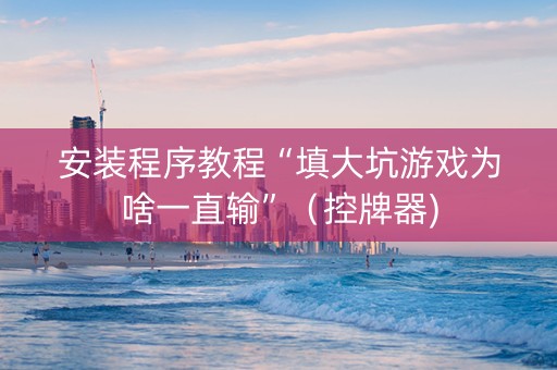 安装程序教程“填大坑游戏为啥一直输”（控牌器)