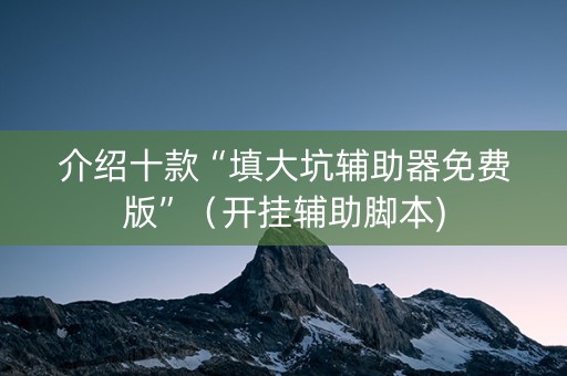 介绍十款“填大坑辅助器免费版”（开挂辅助脚本)