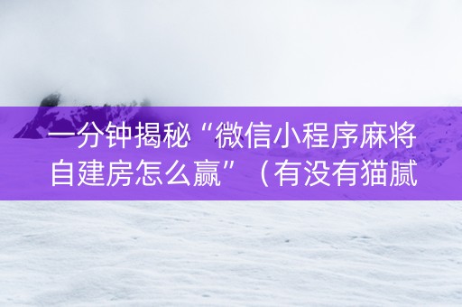 一分钟揭秘“微信小程序麻将自建房怎么赢”（有没有猫腻)