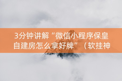 3分钟讲解“微信小程序保皇自建房怎么拿好牌”（软挂神器)