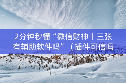 2分钟秒懂“微信财神十三张有辅助软件吗”（插件可信吗)