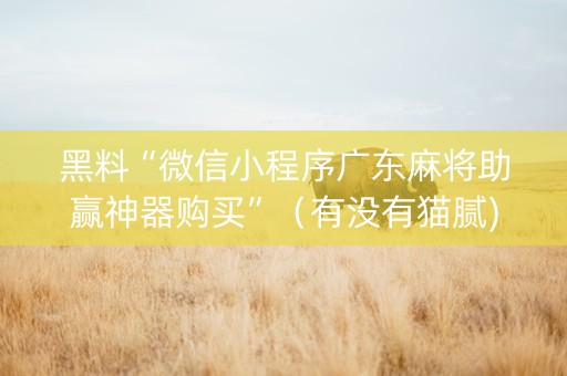 黑料“微信小程序广东麻将助赢神器购买”（有没有猫腻)