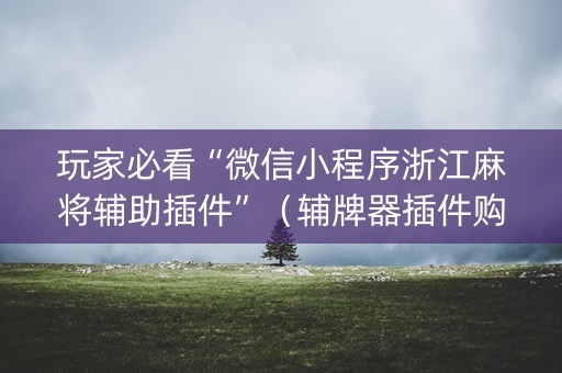 玩家必看“微信小程序浙江麻将辅助插件”（辅牌器插件购买)