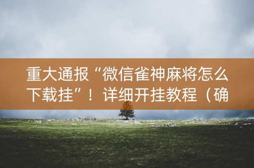重大通报“微信雀神麻将怎么下载挂”！详细开挂教程（确实真的有挂)-知乎
