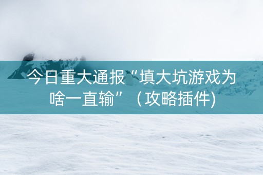 今日重大通报“填大坑游戏为啥一直输”（攻略插件)