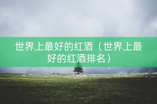 世界上最好的红酒（世界上最好的红酒排名）