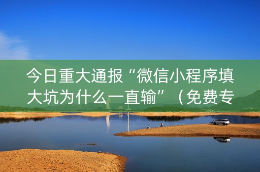 今日重大通报“微信小程序填大坑为什么一直输”（免费专用神器)