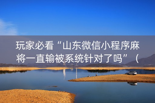 玩家必看“山东微信小程序麻将一直输被系统针对了吗”（软件出售)