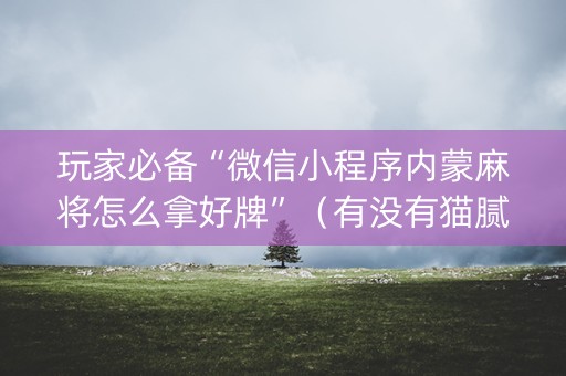 玩家必备“微信小程序内蒙麻将怎么拿好牌”（有没有猫腻)