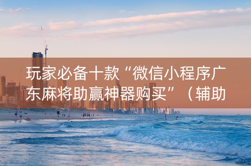 玩家必备十款“微信小程序广东麻将助赢神器购买”（辅助器下载)
