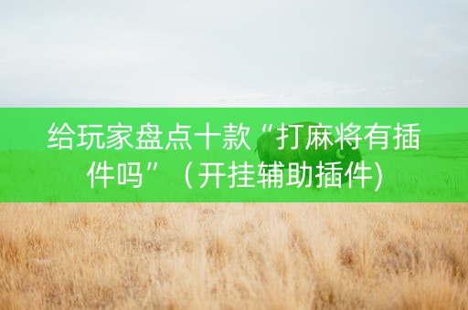 给玩家盘点十款“打麻将有插件吗”（开挂辅助插件)