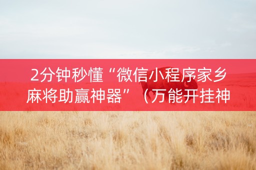 2分钟秒懂“微信小程序家乡麻将助赢神器”（万能开挂神器)