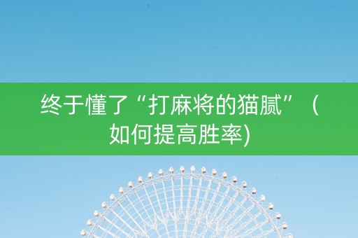 终于懂了“打麻将的猫腻”（如何提高胜率)