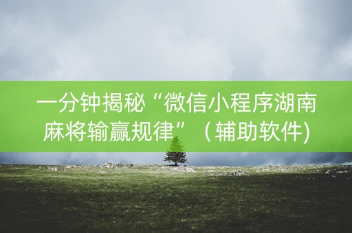 一分钟揭秘“微信小程序湖南麻将输赢规律”（辅助软件)