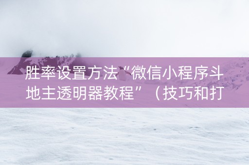 胜率设置方法“微信小程序斗地主透明器教程”（技巧和打好牌方法)