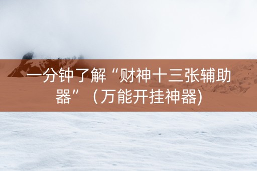 一分钟了解“财神十三张辅助器”（万能开挂神器)
