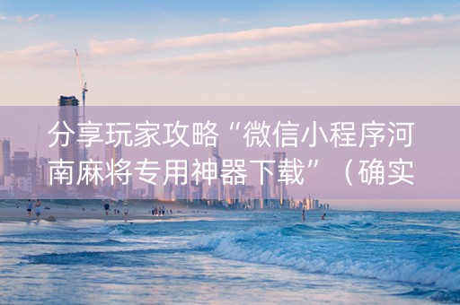 分享玩家攻略“微信小程序河南麻将专用神器下载”（确实有插件吗)