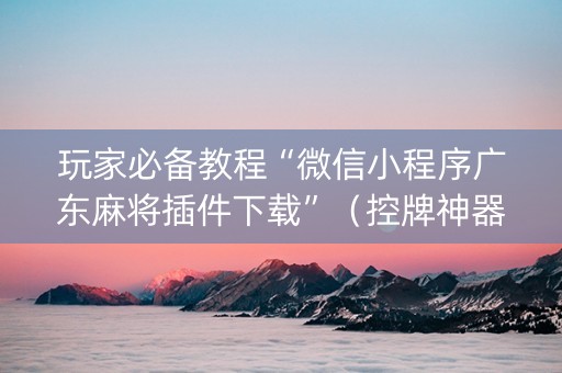 玩家必备教程“微信小程序广东麻将插件下载”（控牌神器)