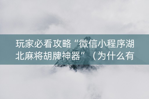 玩家必看攻略“微信小程序湖北麻将胡牌神器”（为什么有人一直赢)