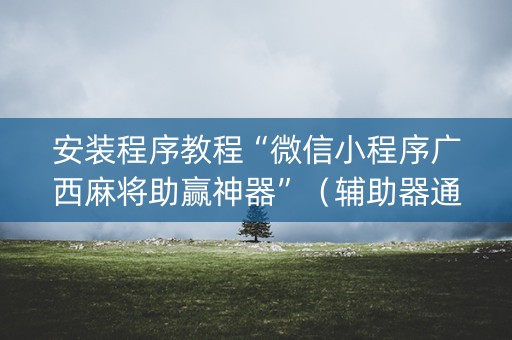 安装程序教程“微信小程序广西麻将助赢神器”（辅助器通用版)