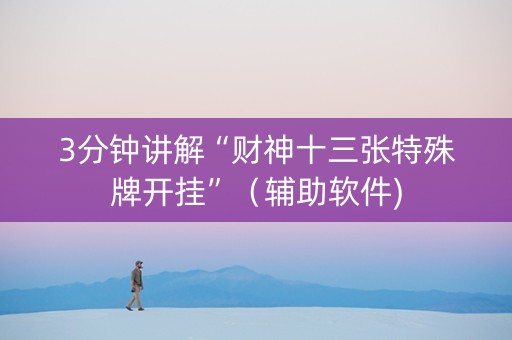 3分钟讲解“财神十三张特殊牌开挂”（辅助软件)