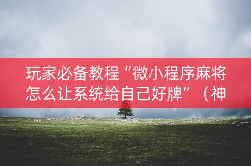 玩家必备教程“微小程序麻将怎么让系统给自己好牌”（神器最新免费)