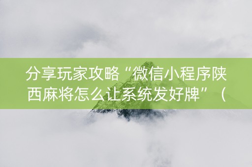 分享玩家攻略“微信小程序陕西麻将怎么让系统发好牌”（攻略插件)