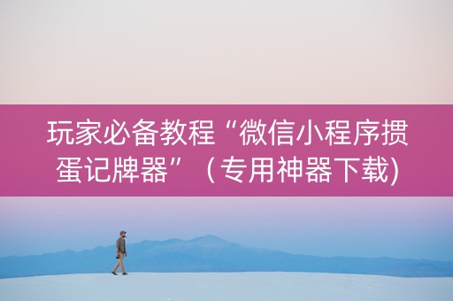 玩家必备教程“微信小程序掼蛋记牌器”（专用神器下载)