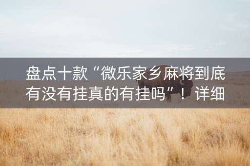 盘点十款“微乐家乡麻将到底有没有挂真的有挂吗”！详细开挂教程（确实真的有挂)-知乎