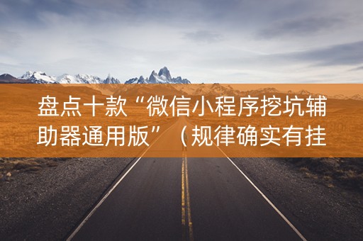 盘点十款“微信小程序挖坑辅助器通用版”（规律确实有挂)