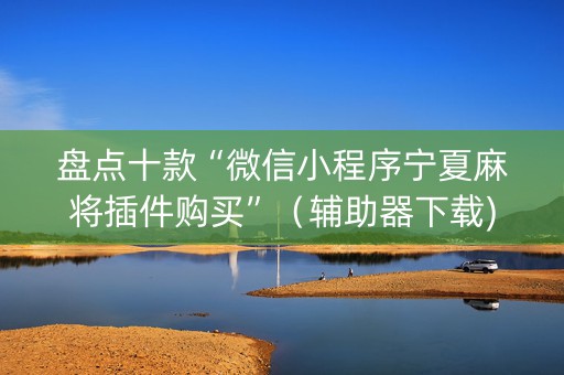 盘点十款“微信小程序宁夏麻将插件购买”（辅助器下载)