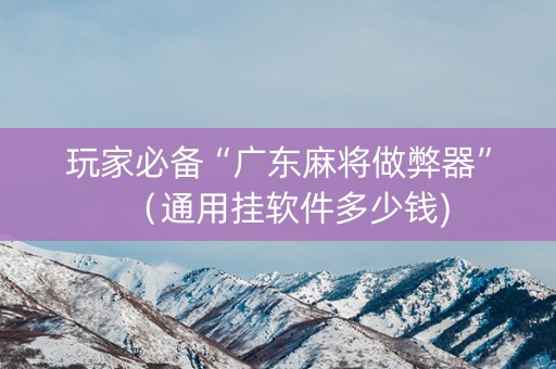 玩家必备“广东麻将做弊器”（通用挂软件多少钱)