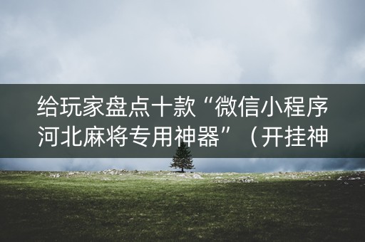 给玩家盘点十款“微信小程序河北麻将专用神器”（开挂神器下载)