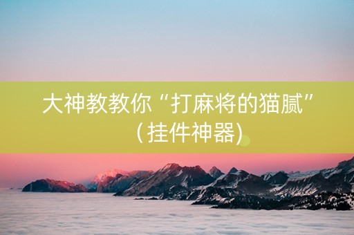 大神教教你“打麻将的猫腻”（挂件神器)