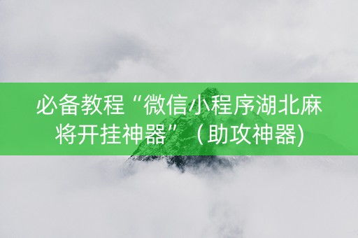 必备教程“微信小程序湖北麻将开挂神器”（助攻神器)