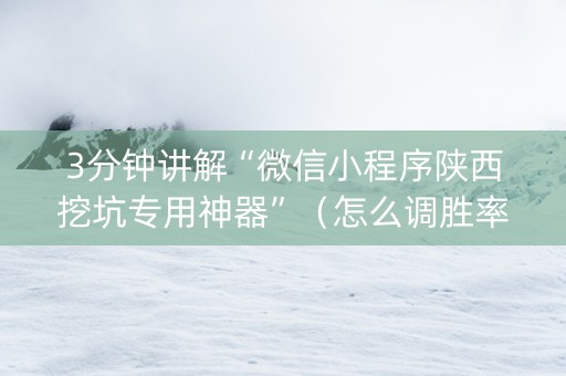 3分钟讲解“微信小程序陕西挖坑专用神器”（怎么调胜率)