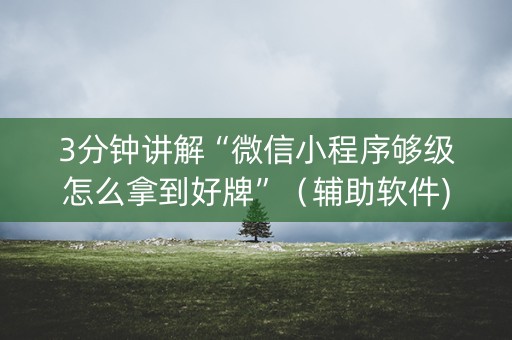 3分钟讲解“微信小程序够级怎么拿到好牌”（辅助软件)