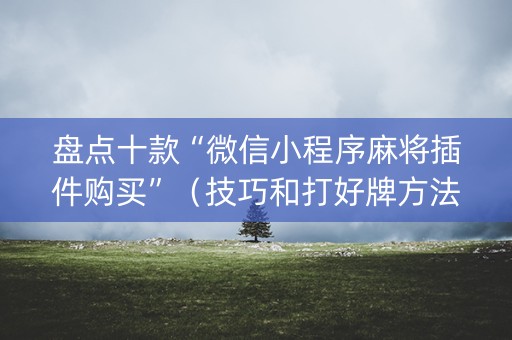 盘点十款“微信小程序麻将插件购买”（技巧和打好牌方法)