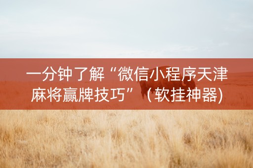 一分钟了解“微信小程序天津麻将赢牌技巧”（软挂神器)