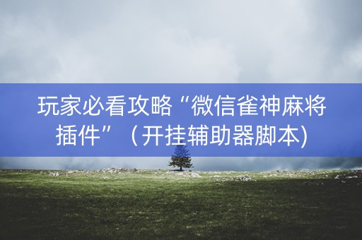玩家必看攻略“微信雀神麻将插件”（开挂辅助器脚本)