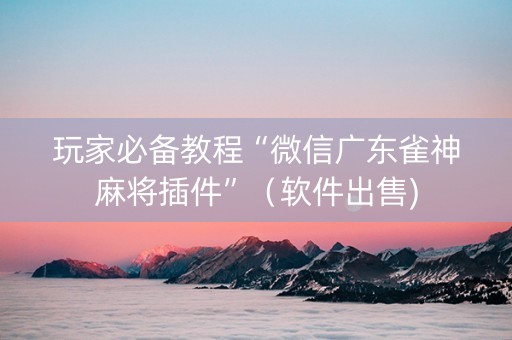 玩家必备教程“微信广东雀神麻将插件”（软件出售)