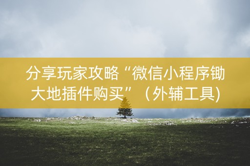 分享玩家攻略“微信小程序锄大地插件购买”（外辅工具)
