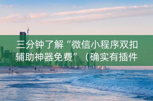 三分钟了解“微信小程序双扣辅助神器免费”（确实有插件吗)