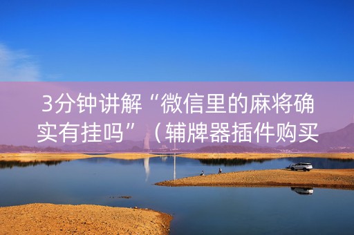 3分钟讲解“微信里的麻将确实有挂吗”（辅牌器插件购买)